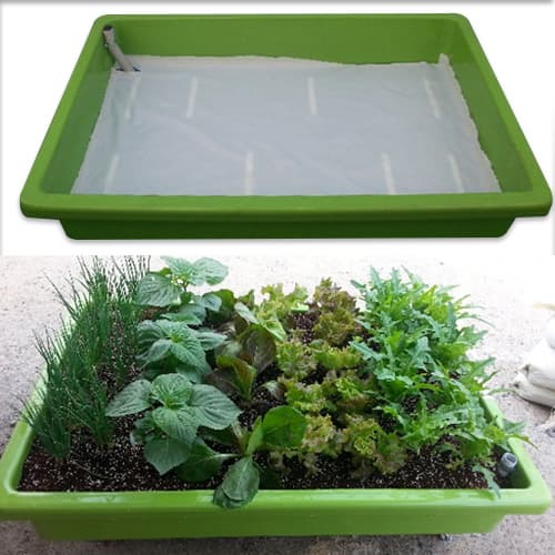 Vegetable garden box _big size_